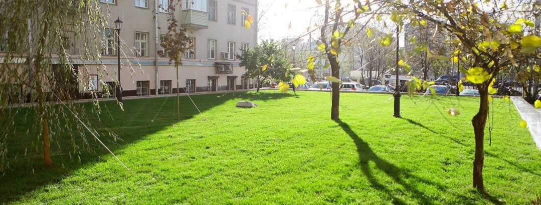 Стрижка газона. Уборка газонов от мусора. Покос и уборка травы в Москве